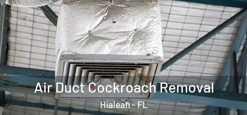  Air Duct Cockroach Removal Hialeah - FL