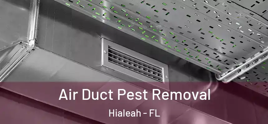  Air Duct Pest Removal Hialeah - FL