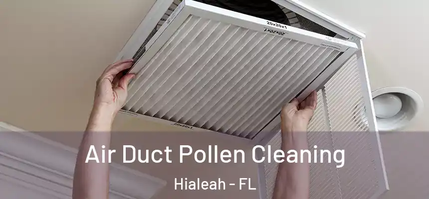  Air Duct Pollen Cleaning Hialeah - FL