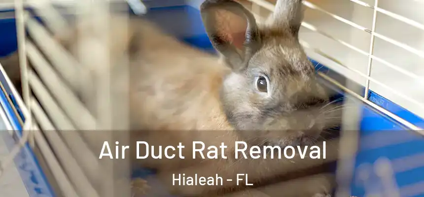  Air Duct Rat Removal Hialeah - FL