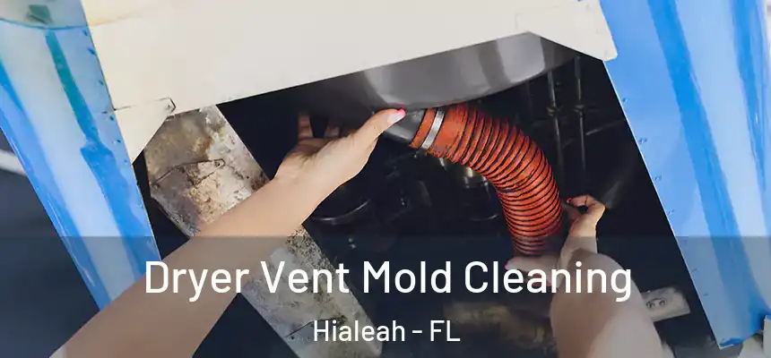  Dryer Vent Mold Cleaning Hialeah - FL