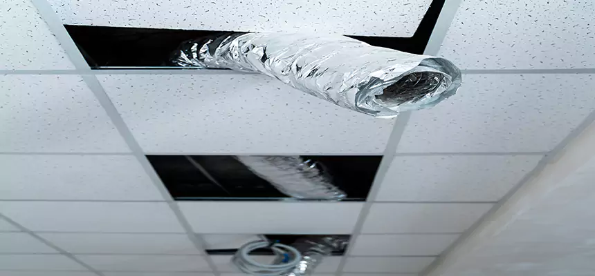 Our Air Duct Pet Hair Removal Services in Hialeah, FL