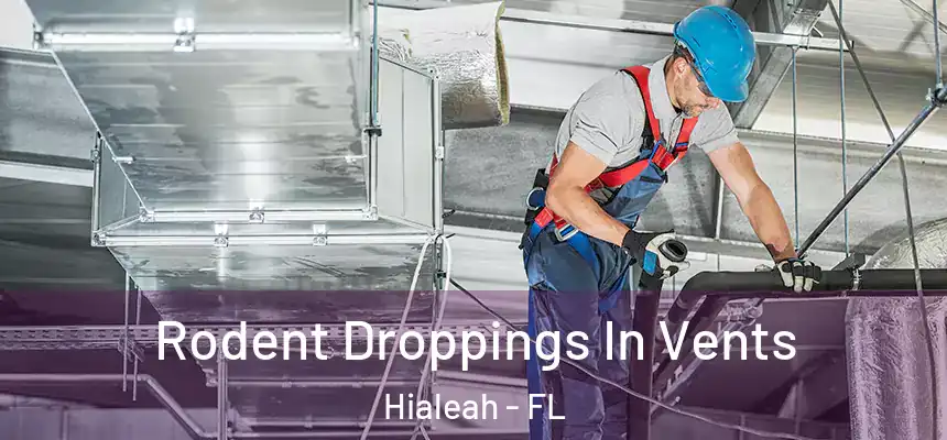  Rodent Droppings In Vents Hialeah - FL