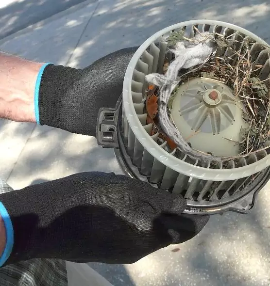 About Air Duct Mice Removal in Hialeah, FL