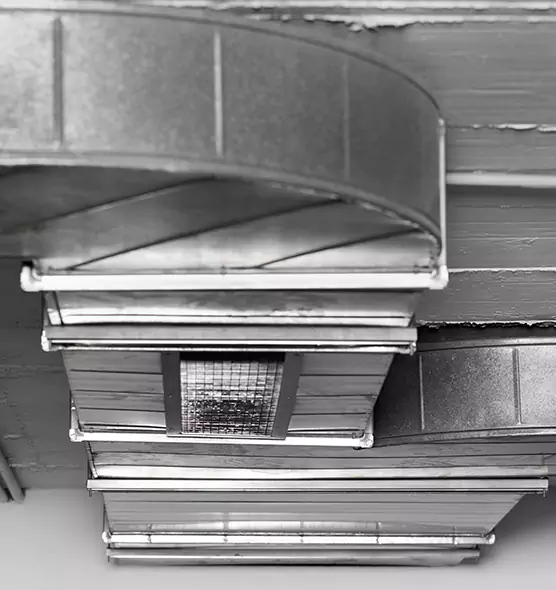 Professional Air Duct Pest Removal in Hialeah, FL