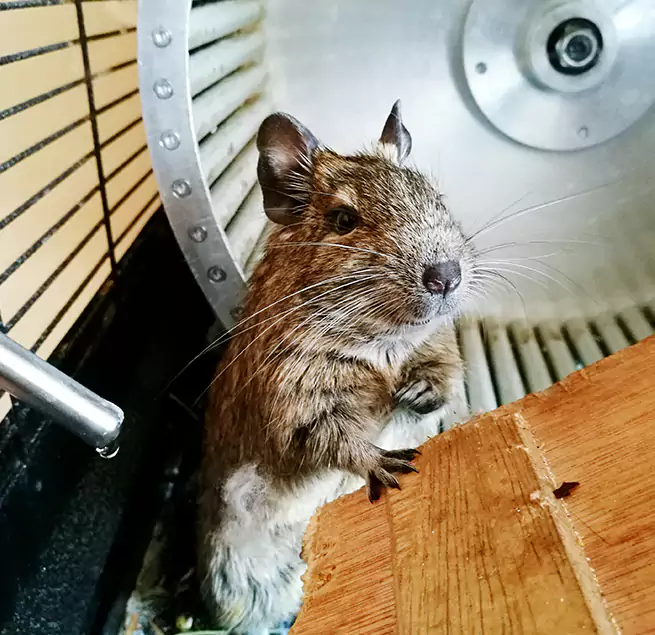 Why Homeowners & Businesses Trust Us Hialeah, FL?