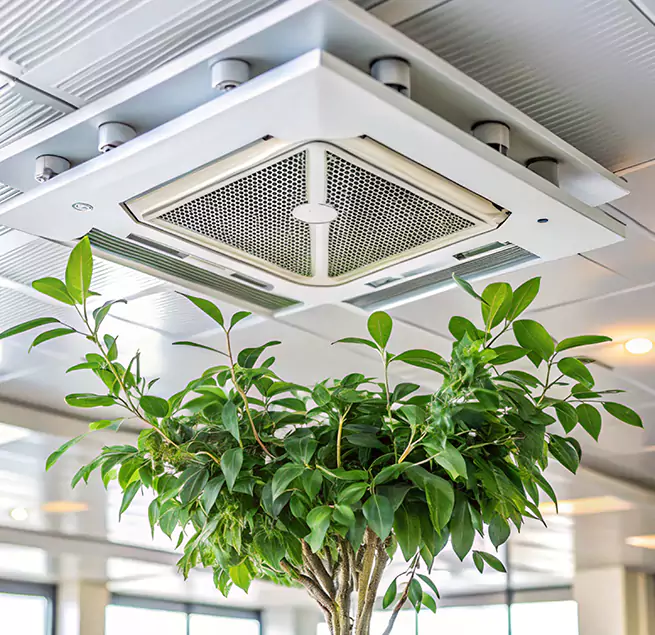 Why Homeowners & Businesses Trust Us in Hialeah, FL?