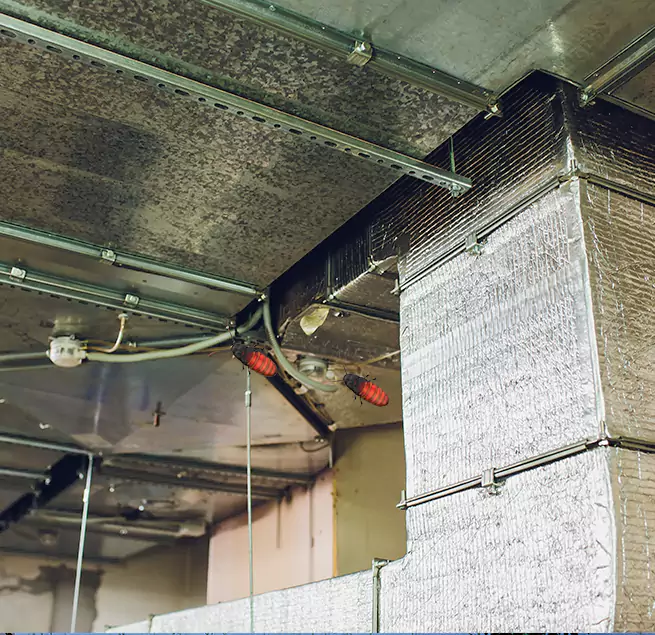 Why Homeowners & Businesses Trust Us Hialeah, FL?