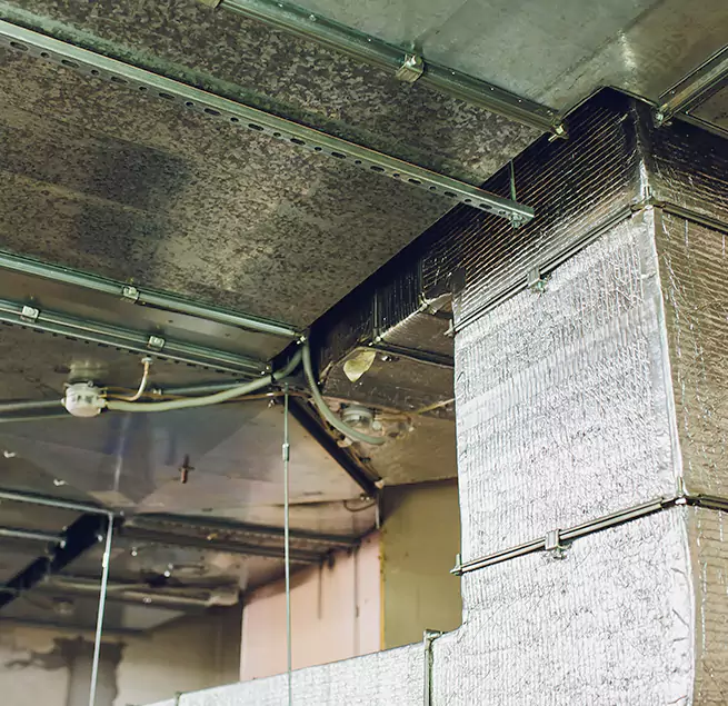 Why Homeowners & Businesses Trust Us in Hialeah, FL?